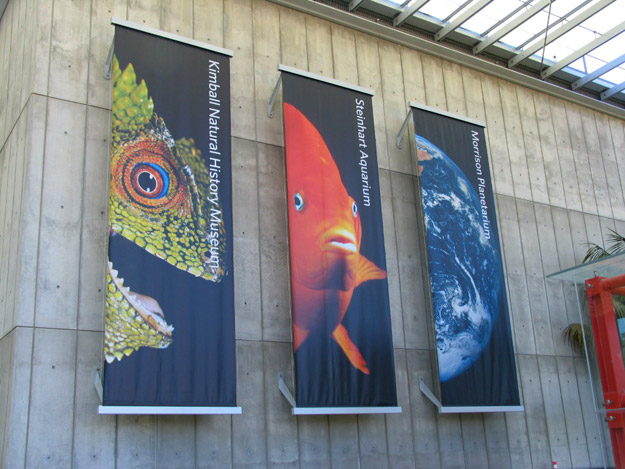 California Academy of Sciences logo c ݿƌWоĘ־