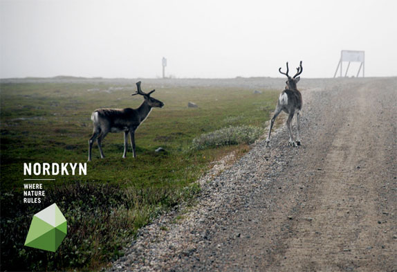 Neue nordkyn Gamvikplace ŲNordkynƳΘR
