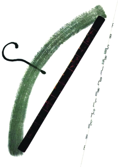 ?cĻչOӋĺƷ