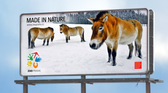 zoo praha ad @Q
