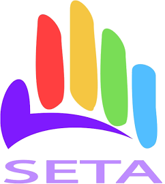 Seta logo mͬԑٙMSetaLogo
