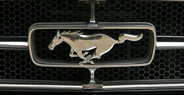 [񣬏܇׃ Mustang  50 
