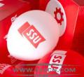 FSSULOGOt